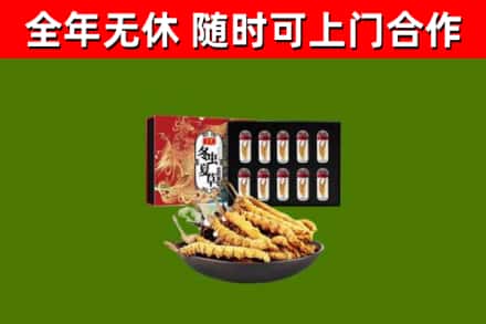 博尔塔拉回收冬虫夏草价格